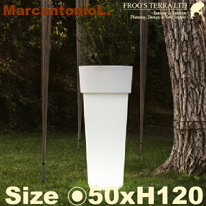 MB �}���J���g�j�I ���C�g�t 50 SL-611L (���a50cm×H120cm�j�i�Z�������K/Serralunga/����/���O�Ɩ��j�i�|���G�`���������j�i�v�����^�[�j