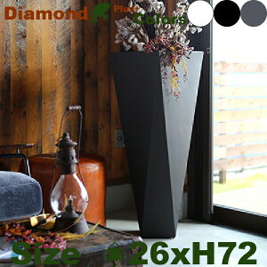 �y���O�Ή��z���[���X���[�v���X�g+ �_�C�A�����h 72 EP-6213 ���b�J�[�h���i��26cm×H72cm�j�ieuro3plast/Diamond�j