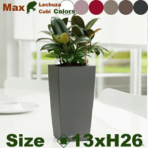 �y���O�Ή��zMB Max Cubi �}�b�N�X�L���[�r�i��13.5cm×H26.5cm�j��ʊ��� PP Lechuza ���`���[�U ���Ǝ{��