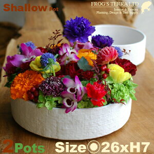 Shallow PotEMEC7322E2Zbgia26.5cm×H7.5cmjiꌊȂji퐻jiv^[/Ԋ/Mj
