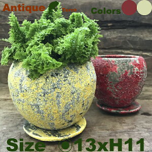 I[hThJ[ 2Zbg C5318ia13.5cm×H11cmjiꌊ/Mtji퐻jiv^[jiϗt/|j