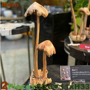 }bV[ Mush2 22ZbgiW11cm×H33cmjiؐjiIuWF/I[igjiLmR/Ebh/Mushroomj