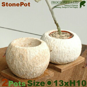 Xg[|bg 2Zbg I2803ia13cm×H10cmjiꌊ/tjiAؔ/Jo[jiΐjiv^[jiϗt/|j