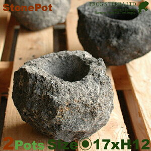 Xg[|bgp 2Zbg I1822ia17cm×H12cmjiꌊȂjiAؔ/Jo[jiΐjiv^[jiϗt/|j