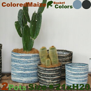 Colored Maize BasketESEB8201E2Zbgia21cm×H20cmjiꌊȂjiA@/gERVjiJS/Jo[j