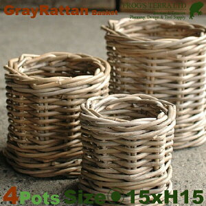 Gray Rattan Basket M 4Zbg B1233ia15cm×H15cmjiꌊȂji^/jiAؔ/Jo[jiv^[/񂹐A/|bgj