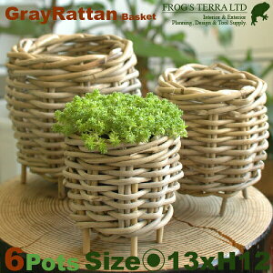 Gray Rattan Basket S 6Zbg B1229ia13cm×H12cmjiꌊȂji^/jiAؔ/Jo[jiv^[/񂹐A/|bgj