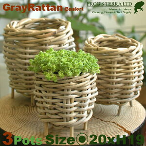 Gray Rattan Basket L 3Zbg B1231ia20cm×H19cmjiꌊȂji^/jiAؔ/Jo[jiv^[/񂹐A/|bgj