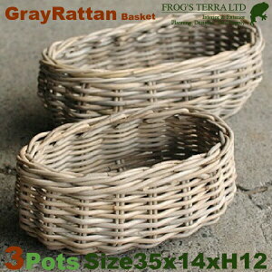 Gray Rattan Basket S 3Zbg B1239iW35cm×D14cm×H12cmjiꌊȂji^/jiAؔ/Jo[jiv^[/񂹐A/|bgj