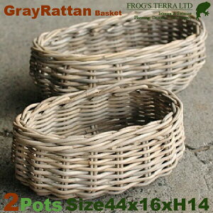 Gray Rattan Basket S 2Zbg B1240iW44cm×D16cm×H14cmjiꌊȂji^/jiAؔ/Jo[jiv^[/񂹐A/|bgj