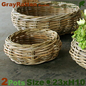 Gray Rattan Basket S 3Zbg B7203ia23cm×H10cmjiꌊȂji^/jiAؔ/Jo[jiv^[/񂹐A/|bgj