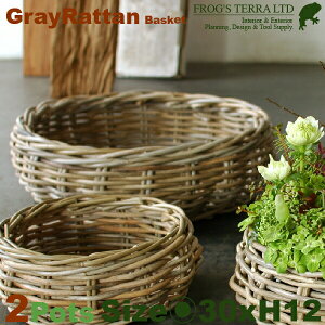 Gray Rattan Basket M 2Zbg B2293ia30cm×H12cmjiꌊȂji^/jiAؔ/Jo[jiv^[/񂹐A/|bgj
