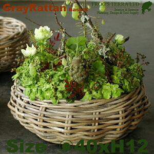 Gray Rattan Basket L B2294ia40cm×H12cmjiꌊȂji^/jiAؔ/Jo[jiv^[/񂹐A/|bgj