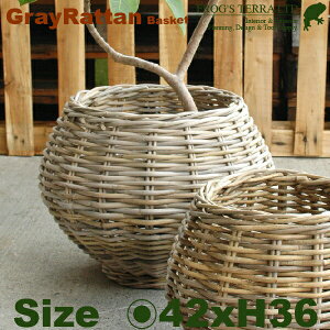 Gray Rattan Basket M B1246ia42cm×H36cmjiꌊȂji^/jiAؔ/Jo[jiv^[/񂹐Aj