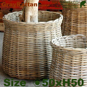 Gray Rattan Basket M B1253ia50cm×H50cmjiꌊȂji^/jiAؔ/Jo[jiv^[/񂹐Aj