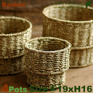 Basket L 4Zbg B2254ia19cm×H16cmjiꌊȂjiAfށjiAؔ/Jo[jiv^[/񂹐A/|bgj