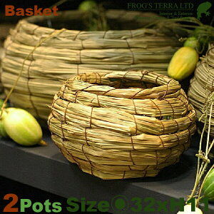 BasketELE2ZbgEB6205ia32cm×H11cmjiꌊȂjiAfށjiAؔ/Jo[jiv^[/|/񂹐A/|bgj