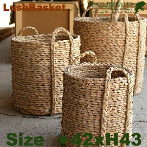 Lush Basket M B9261ia42cm×H43cmjiꌊȂjiA@ہjiAؔ/Jo[jiv^[/񂹐Aj