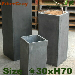 s[v^[ M F9821i30cm×H70cmjit@Co[OX/t@Co[NCjiAؔ/Jo[jiꌊ/yʃv^[j