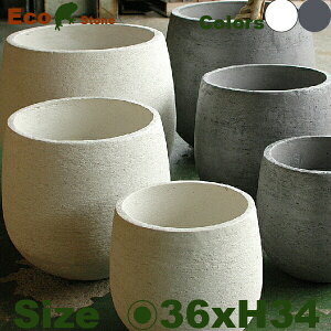 GRXg[ Eh M F1806ia36cm×H34cmjiZgt@Co[/t@Co[NCjiAؔ/Jo[jiꌊȂ/j