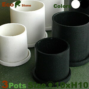 pE_[Xg[EV_[ESEP8101E6Zbgia10cm×H10cmjipE_[Xg[jiAؔ/Jo[jiꌊ/Mtj