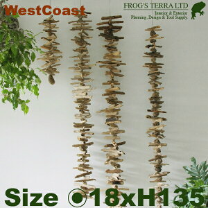 West CoastELE؃A[gi݂jiK[fObYjiÁj