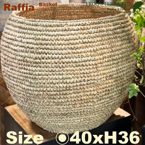 Raffia Basket L B5240ia40cm×H36cmjiꌊȂji8ΉjiA@/V@ہjiAؔ/Jo[jiv^[/񂹐A/|bgj