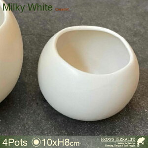 ST W�J�o�[S 4�Z�b�g C9320�i���a10.5cm×H8cm�j�i�ꌊ�Ȃ��j�i���퐻�j�i�v�����^�[/�|�b�g�j