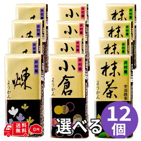 井村屋 ミニようかん 58g 選べる3種 12個セット 煉 小倉 抹茶 羊羹 個包装 常温保存 まとめ買い 和菓子 詰め合わせ おやつ 手土産 小腹 常温保存 糖分補給 行動食 登山 スポーツ