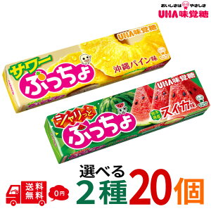 ぷっちょスティック 選べる2種 計20個 シャリっとスイカ 沖縄パイン味 ソフトキャンディ UHA味覚糖 サワー お菓子