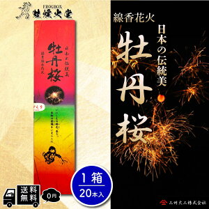 yFROGBOXz [{`̖̉] Yԉ O 1 ԉ 20{ 葢dグ OB΍H FROGBOXV[