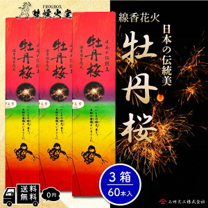 yFROGBOXz [{`̖̉] Yԉ O 3 ԉ 60{ 葢dグ OB΍H FROGBOXV[