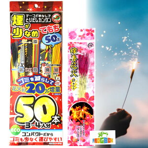 y[ցz Ȃ GR20%ʃpbN 莝ԉ 50{ `ԉ-S10{ v60{ yECOԉ ȒPo