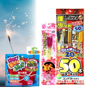 y[ցz Ȃ GR20%ʃpbN 莝ԉ 50{ `ԉ-S10{ v60{ yECOԉ ȒPo ЕtJ^ ł߂ă|C