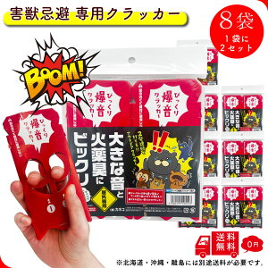 yFROGBOXz т蔚NbJ[ 8 16 O  bЊd Qb  F  iCt ԉ e v[g Mtg  