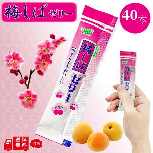 Hi ~΃[[ 12g × 40{ XeBbN  ⋋ ⋋ M FROGBOXV[t