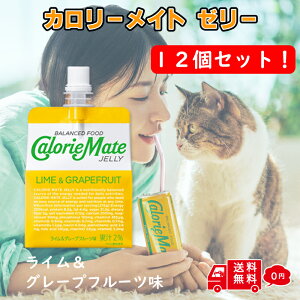 y܂Ƃߔz J[Cg[[ CO[vt[c 12 Zbg ː lߍ킹 N NHi Tvg oXh{H lߍ킹 GIHi h{⋋ l 