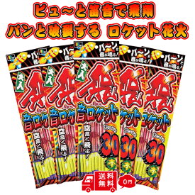 ピューと飛んで パンと音が鳴る 飛・音 ロケット花火 1袋に30本入り 花火 詰め合わせ セット ロケット 音ロケット 破裂音 飛翔音 ヒュー ピュー 鳥獣 対策 退散 撃退 鳥よけ カラスよけ 熊よけ