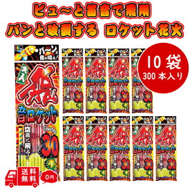 ピューと飛んで パンと音が鳴る 飛・音 花火 セット ロケット花火 10袋 300本 1袋に30本入り ロケット 音ロケット 破裂音 飛翔音 ヒュー ピュー 詰め合わせ 鳥獣 対策 退散 撃退 鳥よけ カラスよけ 熊よけ