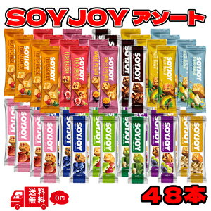 ː \CWC A\[g ܂Ƃߔ 48{ soyjoy lߍ킹 12 Zbg 傢  [Y s[ibc 哤o[ h{⋋ N 哤 َq gi Hi ^pN  