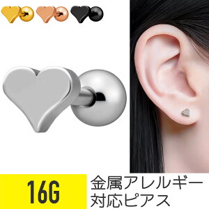 {fBsAX 16g  sAX 16G sAX Lb` T[WJXeX sAX AM[ S ZJhsAX {fB sAX Xg[go[x gKX p t@[Xgs