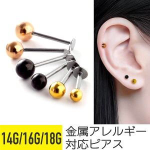 sAX  sAX {fBsAX 18g 16g 14g sAX AM[ t@[XgsAX ZJhsAX ςȂ gKX wbNX T[WJXeX ubgX^bh u