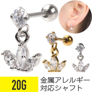 [^X `[ Xg[go[x 20G T[WJXeX WRjA WG Vo[ S[h C[u wbNX sAX {fBsAX h AM[Ή