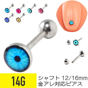 AC `[t o[x 14G T[WJXeX Vo[ Z^[^ ^ sAX sAX {fBsAX AC   `[t AM[Ή