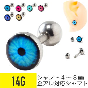 AC `[t o[x 14G T[WJXeX C[u wbNX sAX {fBsAX AC  