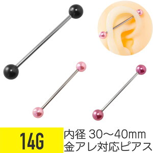 Jt p[ C_XgAo[x 14G T[WJXeX C[u C_XgA sAX {fBsAX tFCNp[ AM[Ή