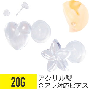 AN n[g t[  sAX 20G  AN  C[u wbNX sAX {fBsAX NA `[t 