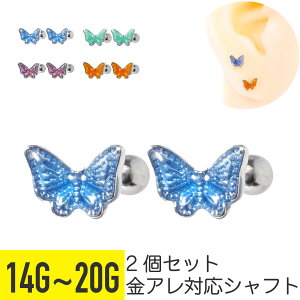 2Zbg ~j o^tC Jt Xg[go[x 14G 16G 18G 20G T[WJXeX Vo[ C[u wbNX sAX {fBsAX  傤 u[ O[ p[