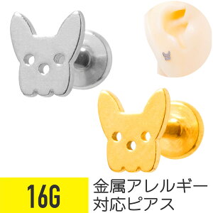 hbO `[t ubg 16G T[WJXeX Vo[ S[h C[u wbNX gKX sAX {fBsAX  Ck  Aj}  dog AM[ 