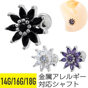 Tt[ `[t WG Xg[go[x 14G 16G 18G T[WJXeX WRjA WG Vo[ C[u wbNX sAX {fBsAX q} Ђ܂ 